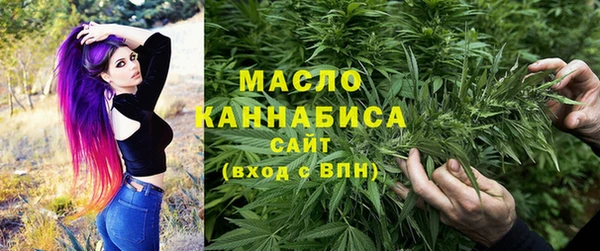 apvp Алексин