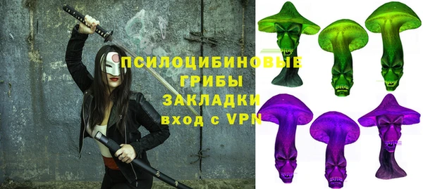прущий лед Алексеевка
