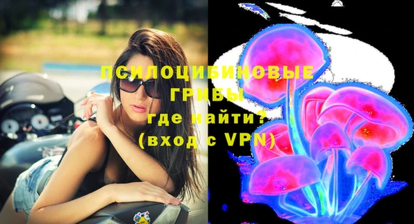 apvp Алексин