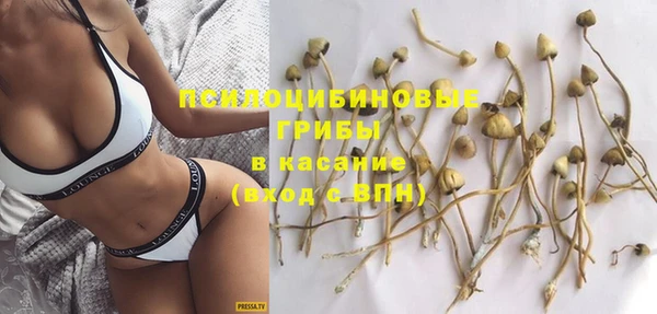 прущий лед Алексеевка