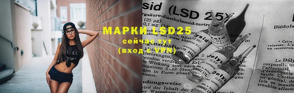 spice Алзамай