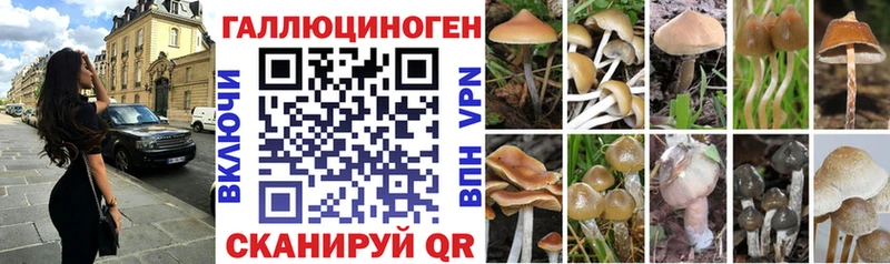Псилоцибиновые грибы ЛСД  Апатиты 
